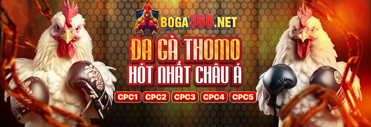Collage động các trò chơi đa dạng của vndwin